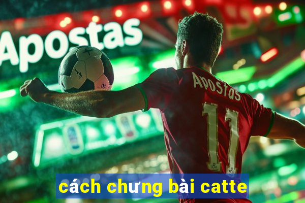 cách chưng bài catte