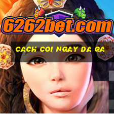 cach coi ngay da ga