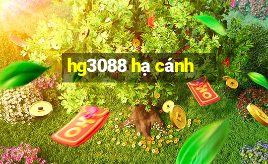 hg3088 hạ cánh