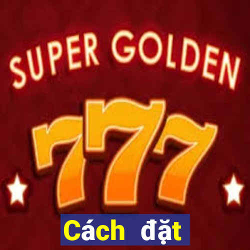 Cách đặt cược XSST ngày 21