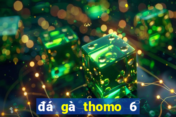 đá gà thomo 6 tháng 11 năm 2003