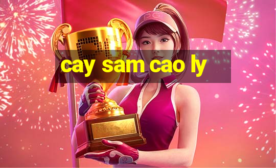 cay sam cao ly