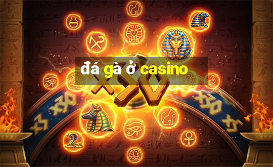 đá gà ở casino