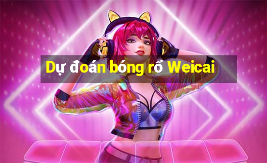 Dự đoán bóng rổ Weicai