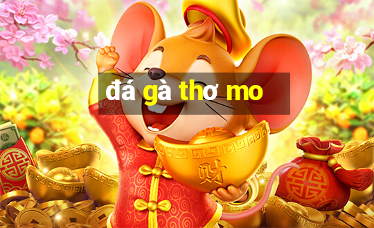 đá gà thơ mo