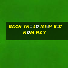 bach thủ lô miền bắc hôm nay