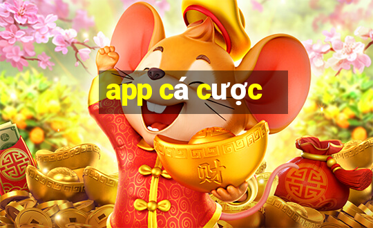 app cá cược