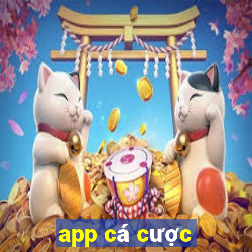 app cá cược