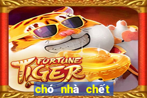 chó nhà chết đánh con gì