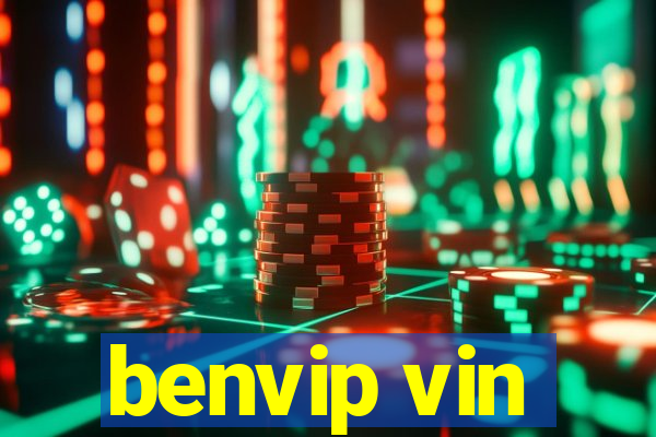 benvip vin