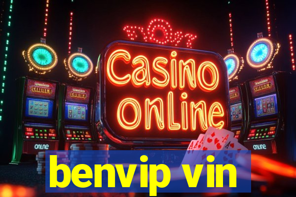 benvip vin