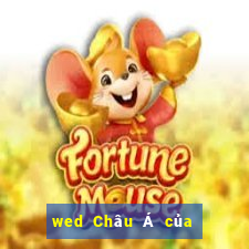 wed Châu Á của Boyou là gì