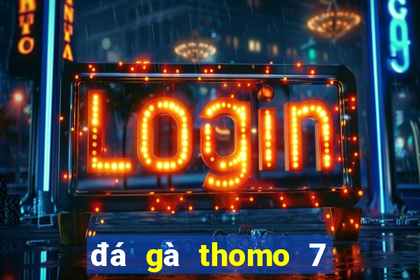 đá gà thomo 7 8 2024