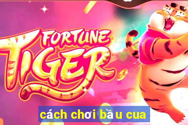 cách chơi bầu cua