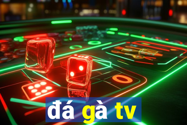 đá gà tv