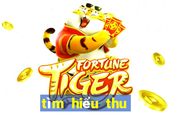 tìm hiểu thu nhập tiktok