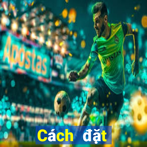 Cách đặt cược XSCT ngày mai