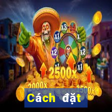 Cách đặt cược XSCT ngày mai