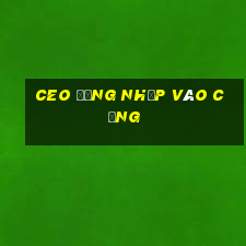 ceo đăng nhập vào cổng