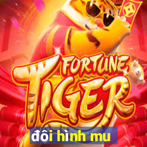 đôi hình mu