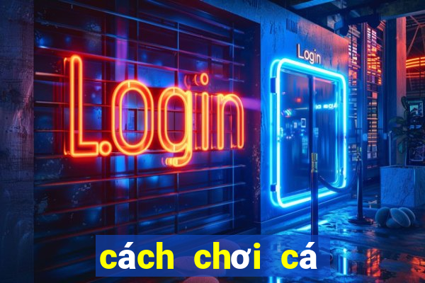 cách chơi cá độ bóng đá