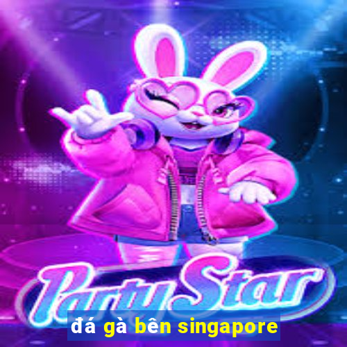 đá gà bên singapore