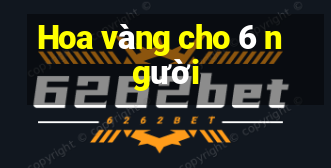 Hoa vàng cho 6 người