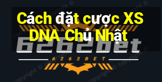 Cách đặt cược XSDNA Chủ Nhật