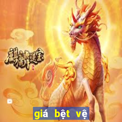 giá bệt vệ sinh hc