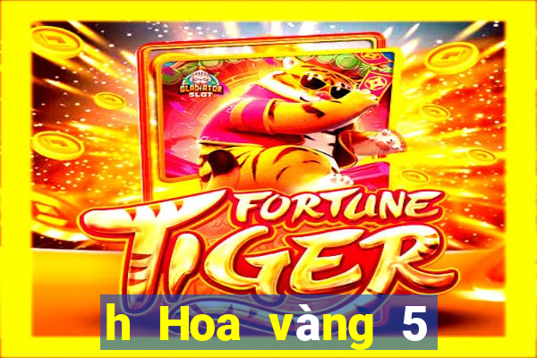 h Hoa vàng 5 lông chiên