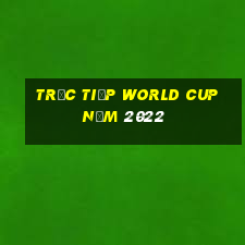 trực tiếp world cup năm 2022