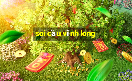 soi cầu vĩnh long