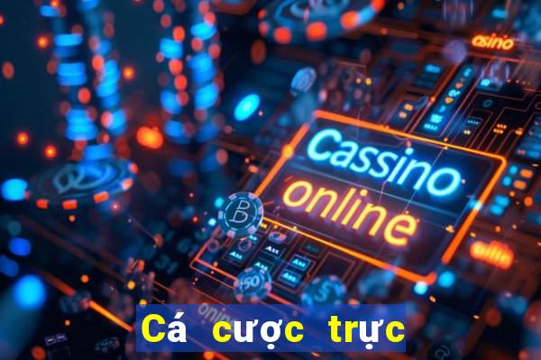 Cá cược trực tuyến 6686