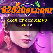 Cách đặt cược XSDNO Thứ 4