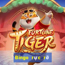 Bingo rực rỡ sắc xổ số