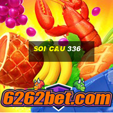 soi cau 336