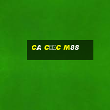 cá cược m88