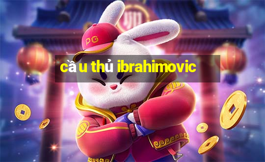 cầu thủ ibrahimovic