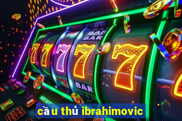 cầu thủ ibrahimovic