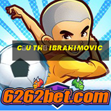 cầu thủ ibrahimovic