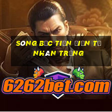 sòng bạc tiền điện tử nhãn trắng