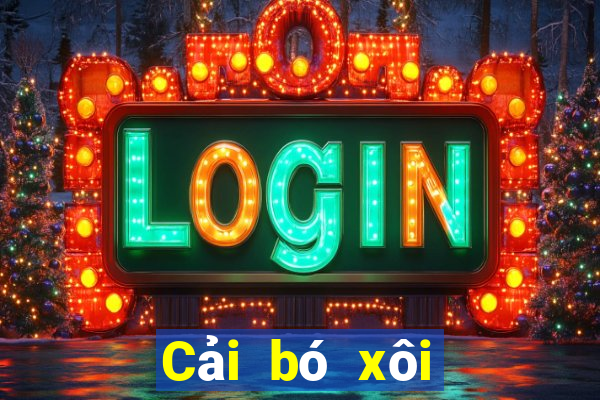 Cải bó xôi toàn phần 2020