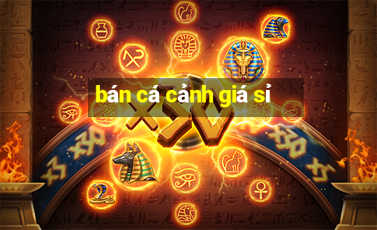 bán cá cảnh giá sỉ