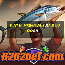 kinh nghiệm tài xỉu go88