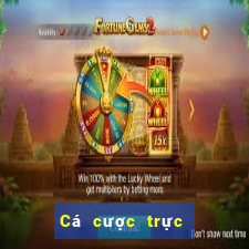 Cá cược trực tuyến 888bet