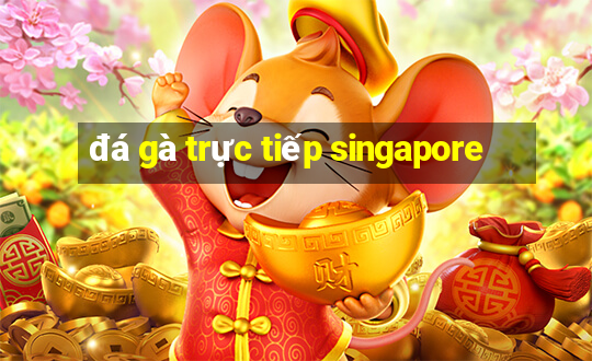 đá gà trực tiếp singapore