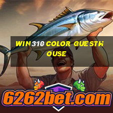 win310 Color Guesthouse