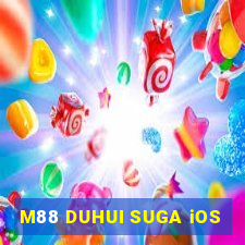 M88 DUHUI SUGA iOS