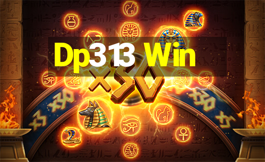 Dp313 Win