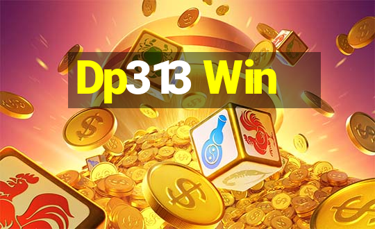 Dp313 Win